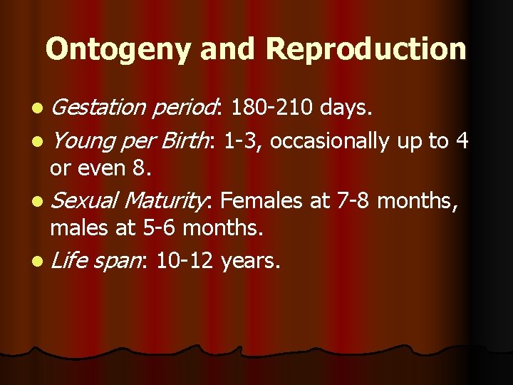 Ontogeny and Reproduction l Gestation period: 180 -210 days. l Young per Birth: 1