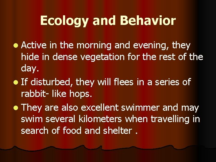Ecology and Behavior l Active in the morning and evening, they hide in dense
