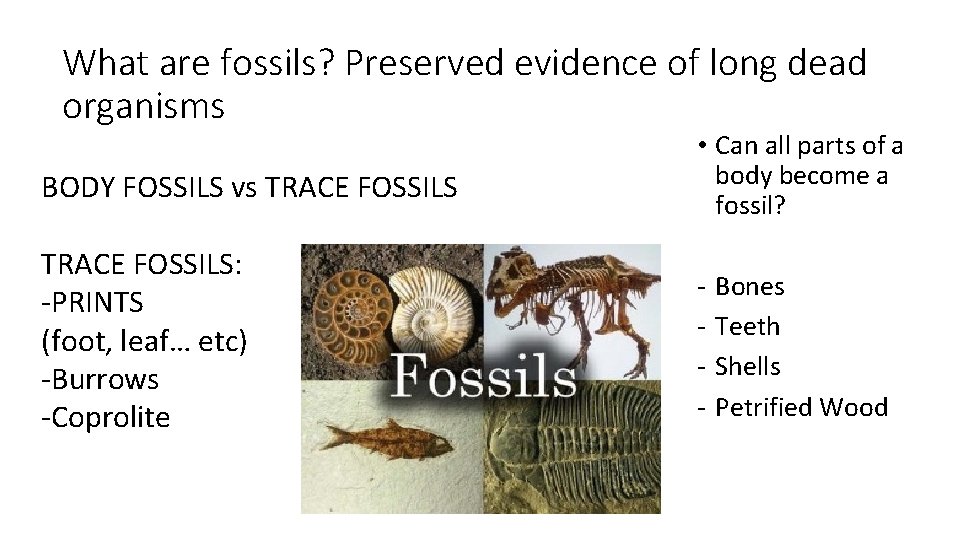What are fossils? Preserved evidence of long dead organisms BODY FOSSILS vs TRACE FOSSILS