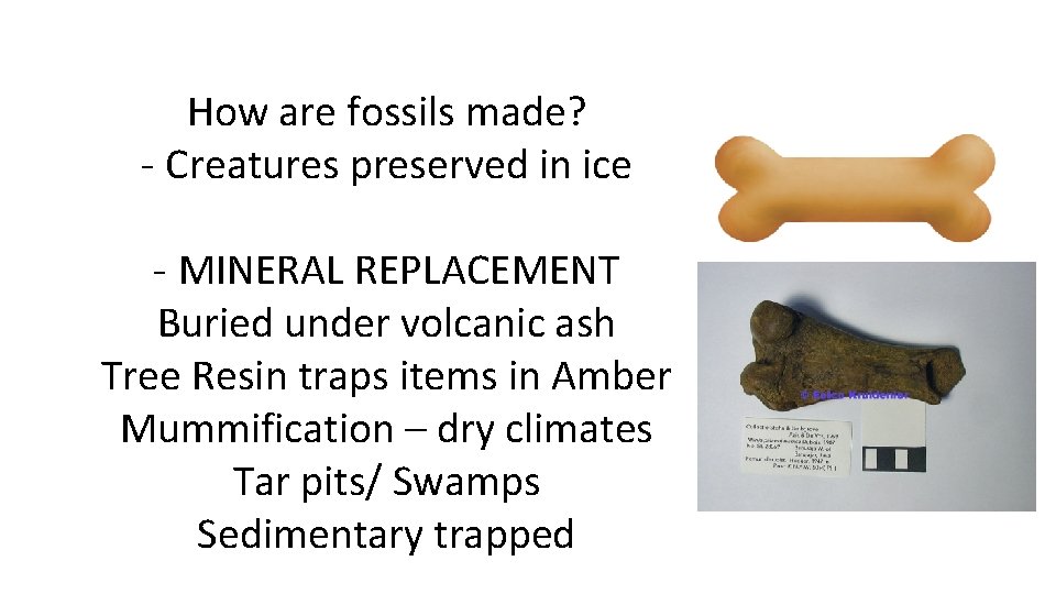 How are fossils made? - Creatures preserved in ice - MINERAL REPLACEMENT Buried under