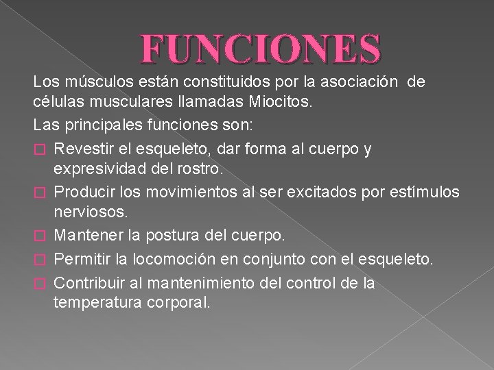 FUNCIONES Los músculos están constituidos por la asociación de células musculares llamadas Miocitos. Las