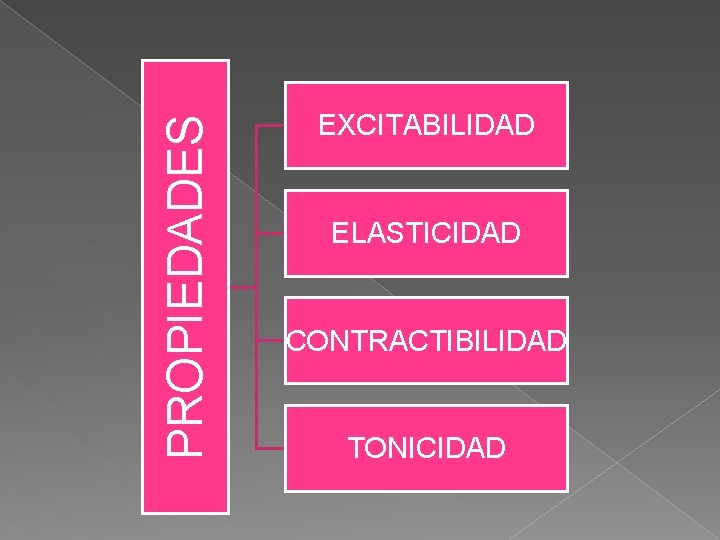 PROPIEDADES EXCITABILIDAD ELASTICIDAD CONTRACTIBILIDAD TONICIDAD 