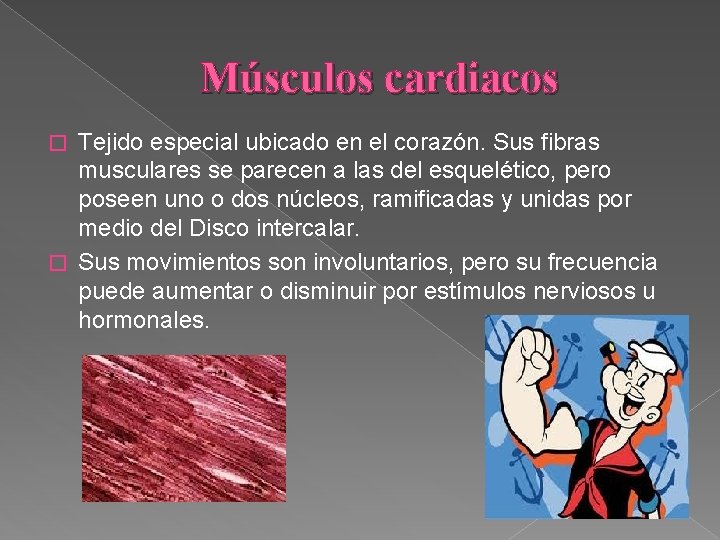 Músculos cardiacos Tejido especial ubicado en el corazón. Sus fibras musculares se parecen a