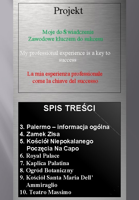 Projekt Moje do Ś wiadczenie Zawodowe kluczem do sukcesu My professional experience is a