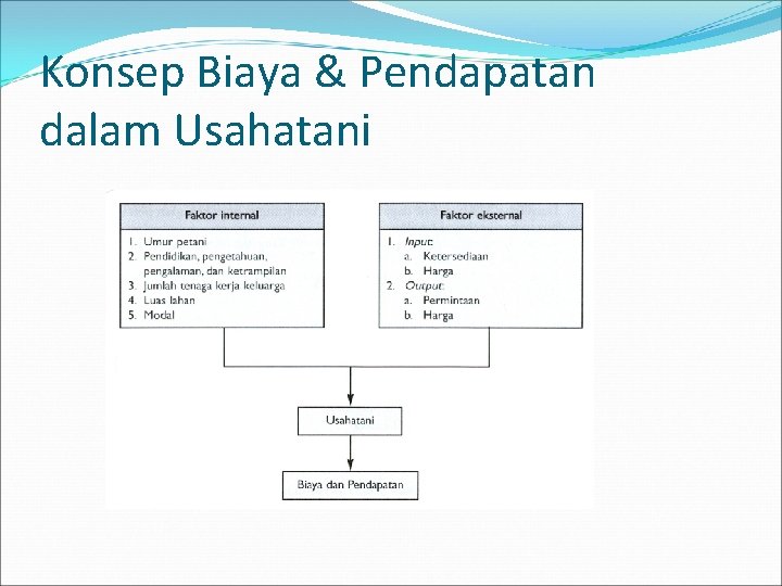 Konsep Biaya & Pendapatan dalam Usahatani 