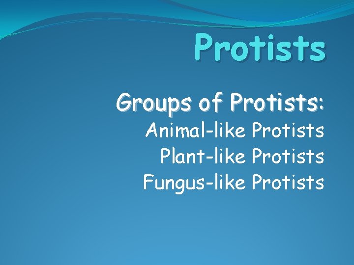 Protists Groups of Protists: Animal-like Protists Plant-like Protists Fungus-like Protists 