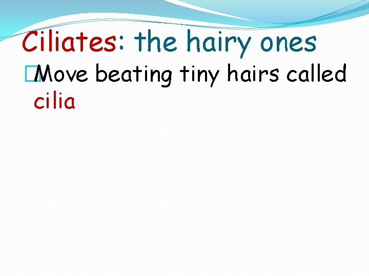 Ciliates: the hairy ones �Move beating tiny hairs called cilia 