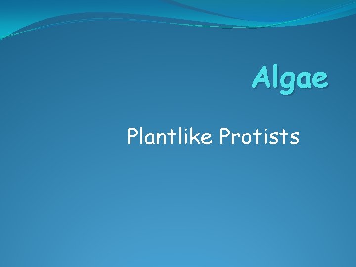 Algae Plantlike Protists 