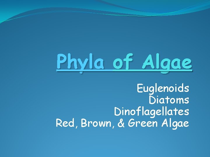 Phyla of Algae Euglenoids Diatoms Dinoflagellates Red, Brown, & Green Algae 