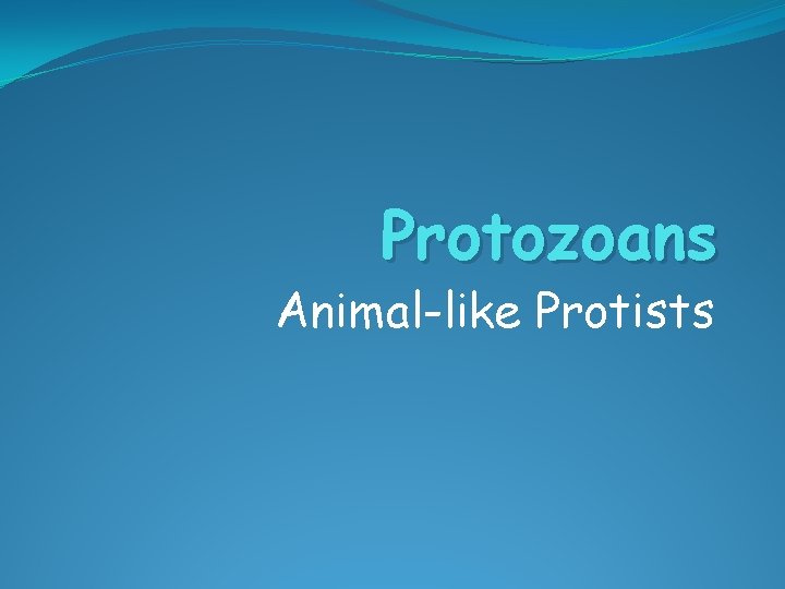Protozoans Animal-like Protists 