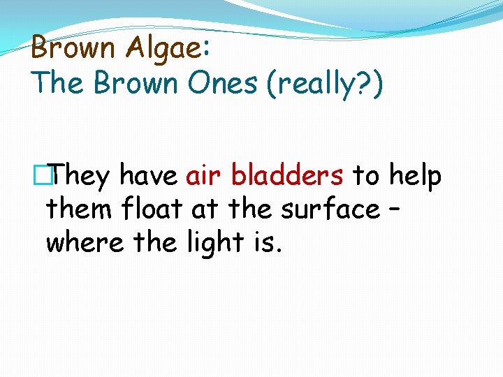 Brown Algae: The Brown Ones (really? ) �They have air bladders to help them