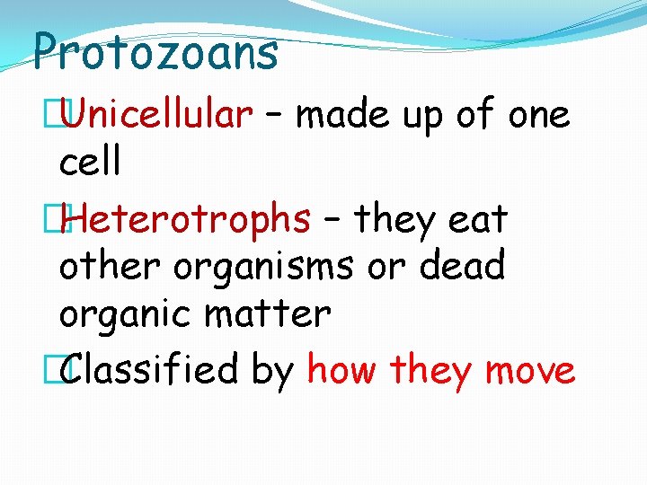 Protozoans �Unicellular – made up of one cell �Heterotrophs – they eat other organisms