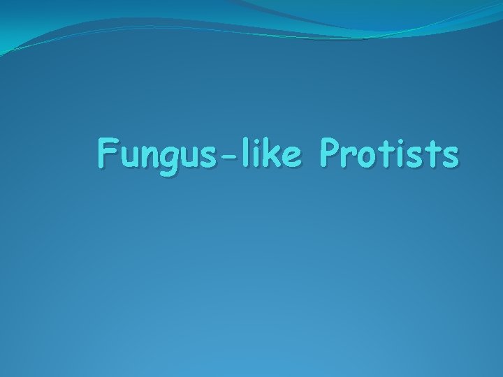 Fungus-like Protists 