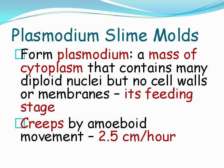 Plasmodium Slime Molds �Form plasmodium: plasmodium a mass of cytoplasm that contains many diploid