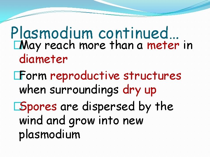 Plasmodium continued… �May reach more than a meter in diameter �Form reproductive structures when