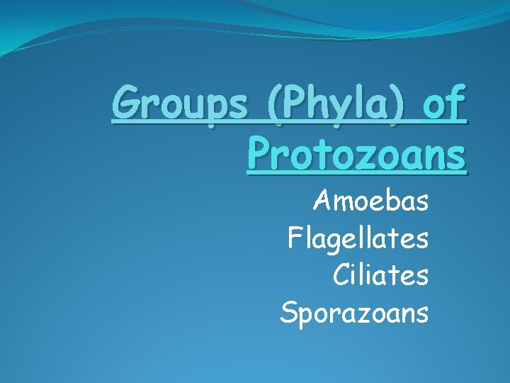 Groups (Phyla) of Protozoans Amoebas Flagellates Ciliates Sporazoans 