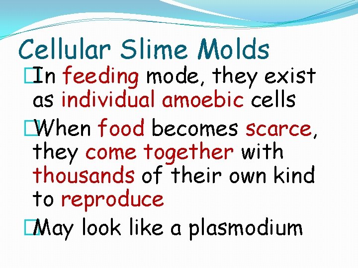 Cellular Slime Molds �In feeding mode, they exist as individual amoebic cells �When food