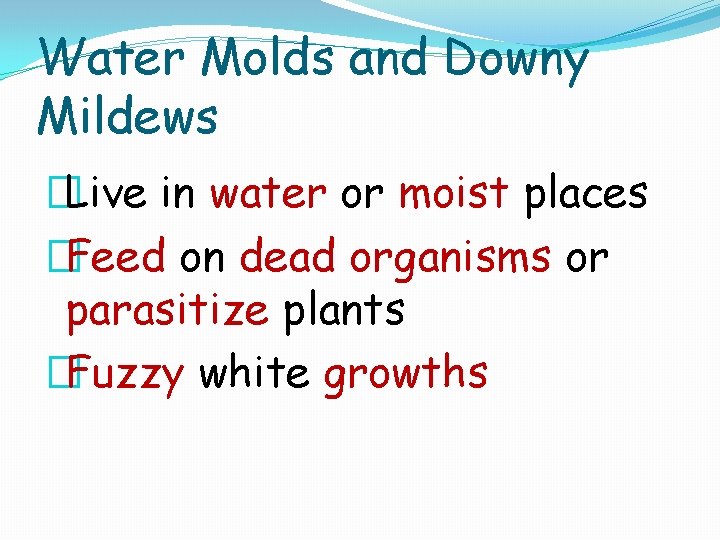 Water Molds and Downy Mildews �Live in water or moist places �Feed on dead