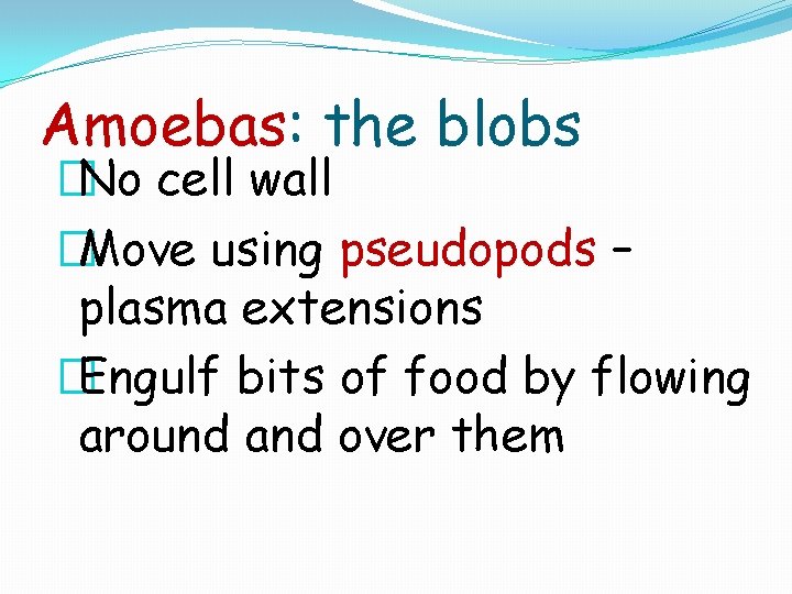 Amoebas: the blobs �No cell wall �Move using pseudopods – plasma extensions �Engulf bits