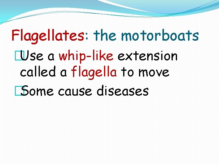 Flagellates: the motorboats �Use a whip-like extension called a flagella to move �Some cause