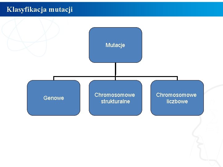 Klasyfikacja mutacji Mutacje Genowe Chromosomowe strukturalne Chromosomowe liczbowe 4 