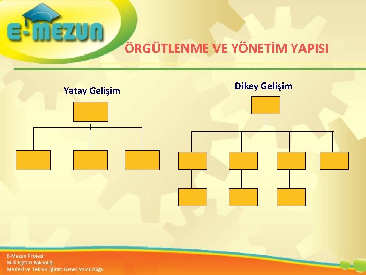 ÖRGÜTLENME VE YÖNETİM YAPISI Yatay Gelişim Dikey Gelişim Faal 2. 7 100 Genç Girişimcilik