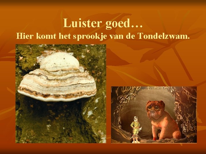 Luister goed… Hier komt het sprookje van de Tondelzwam. 