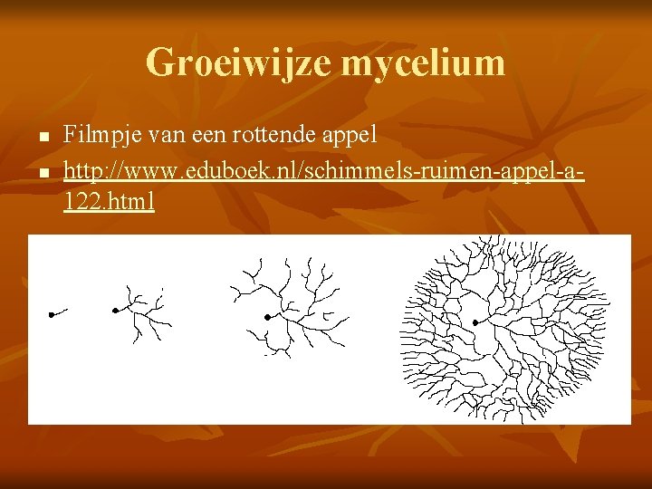 Groeiwijze mycelium n n Filmpje van een rottende appel http: //www. eduboek. nl/schimmels-ruimen-appel-a 122.