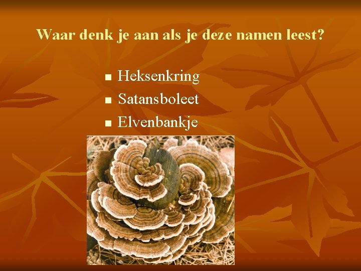 Waar denk je aan als je deze namen leest? n n n Heksenkring Satansboleet