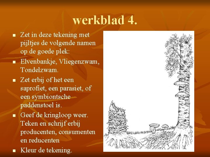 werkblad 4. n n n Zet in deze tekening met pijltjes de volgende namen