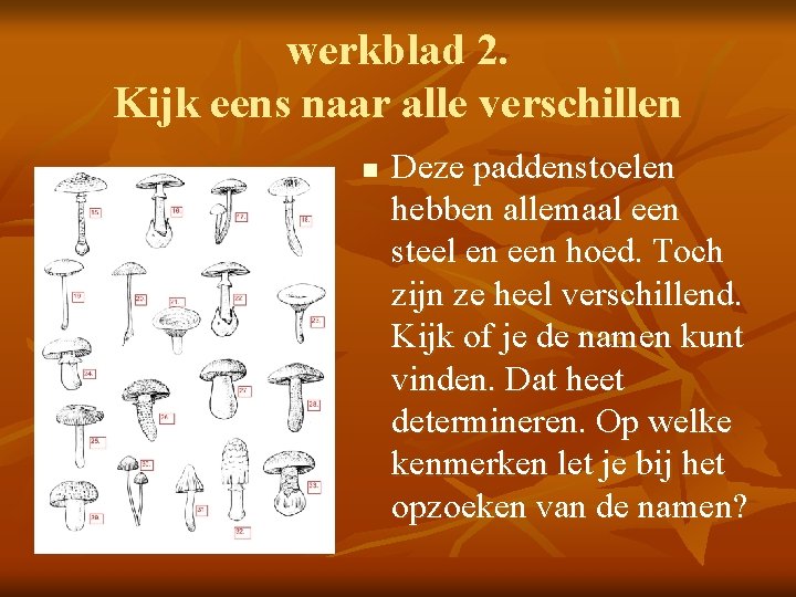 werkblad 2. Kijk eens naar alle verschillen n Deze paddenstoelen hebben allemaal een steel