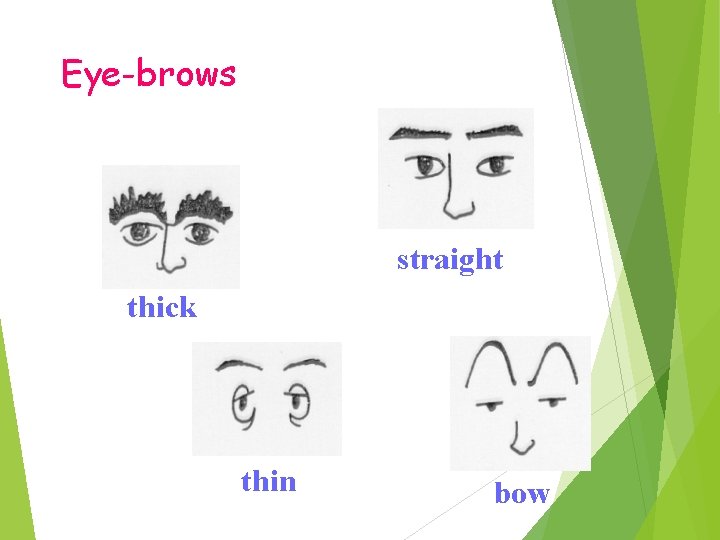 Eye-brows straight thick thin bow 