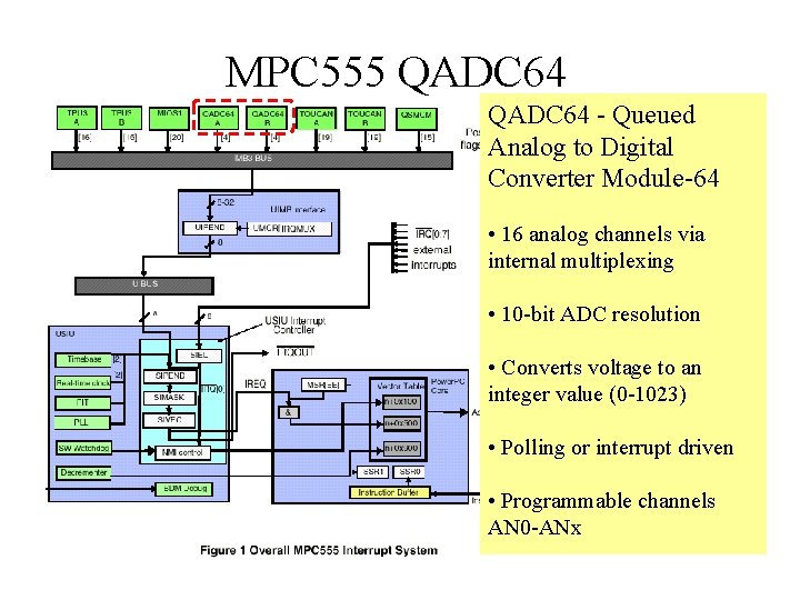 MPC 555 QADC 64 - Queued Analog to Digital Converter Module-64 • 16 analog