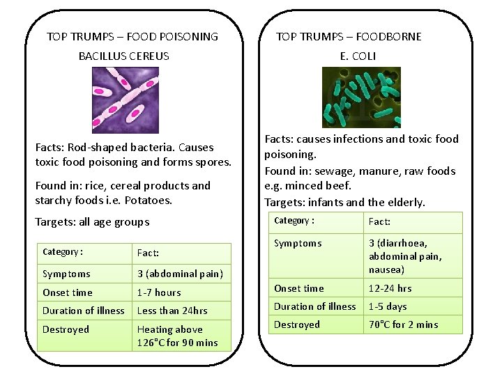 TOP TRUMPS – FOOD POISONING TOP TRUMPS – FOODBORNE BACILLUS CEREUS Facts: Rod-shaped bacteria.