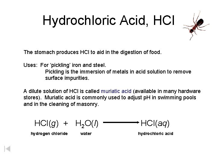 Hydrochloric Acid, HCl The stomach produces HCl to aid in the digestion of food.