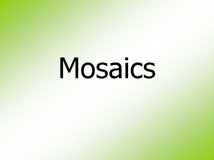 Mosaics 