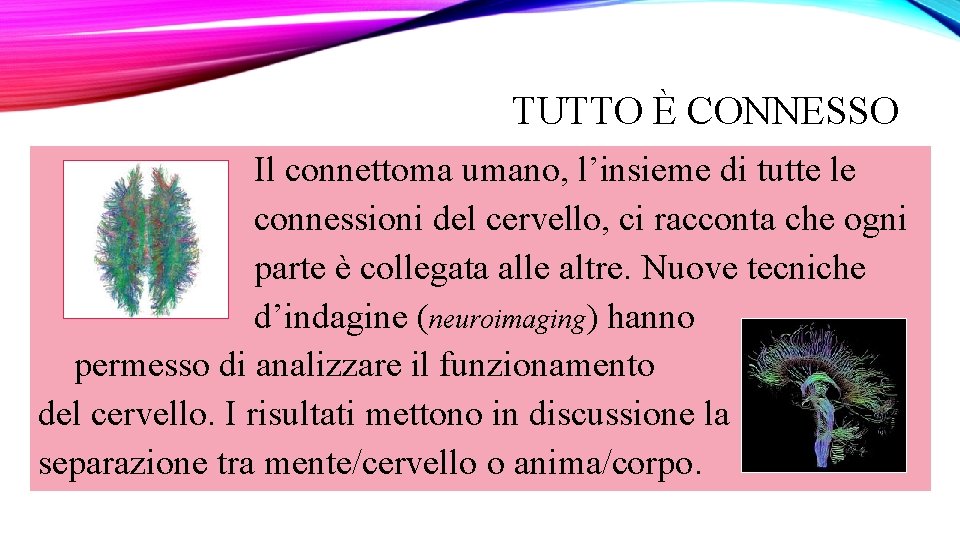 TUTTO È CONNESSO Il connettoma umano, l’insieme di tutte le connessioni del cervello, ci