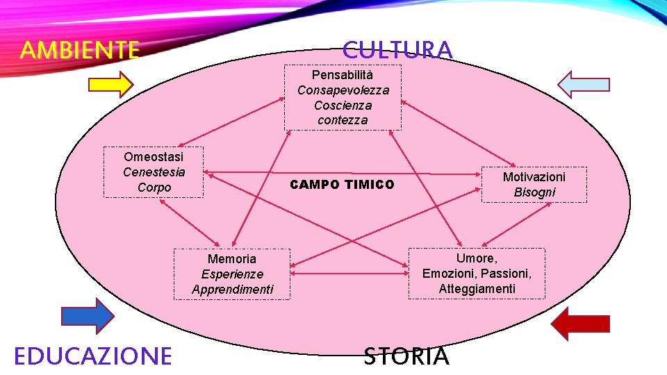 AMBIENTE CULTURA Pensabilità Consapevolezza Coscienza contezza Omeostasi Cenestesia Corpo Memoria Esperienze Apprendimenti EDUCAZIONE Motivazioni