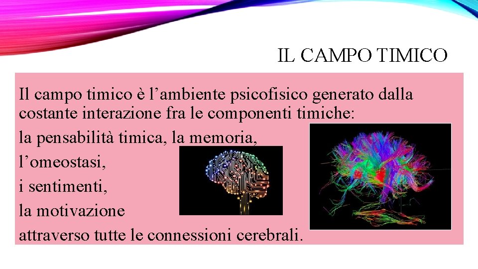 IL CAMPO TIMICO Il campo timico è l’ambiente psicofisico generato dalla costante interazione fra