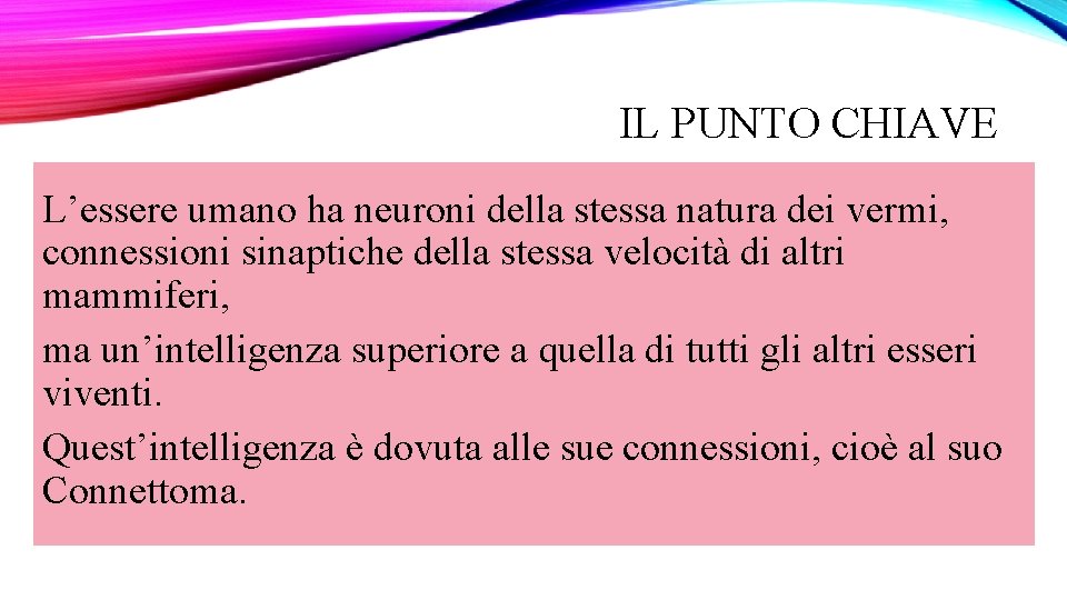 IL PUNTO CHIAVE L’essere umano ha neuroni della stessa natura dei vermi, connessioni sinaptiche