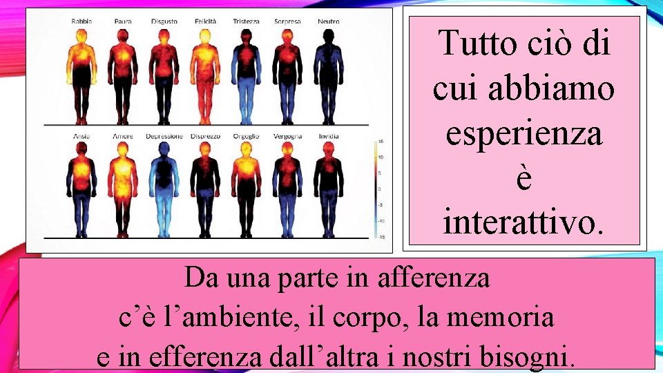 Tutto ciò di cui abbiamo esperienza è interattivo. Da una parte in afferenza c’è