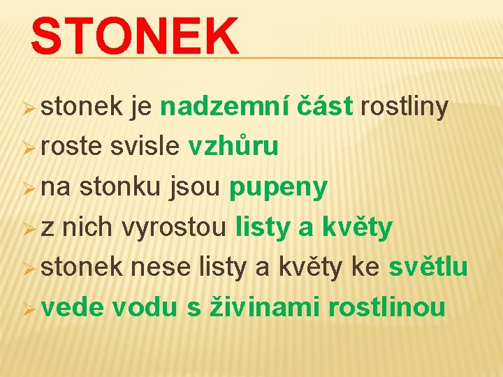 STONEK Ø stonek je nadzemní část rostliny Ø roste svisle vzhůru Ø na stonku