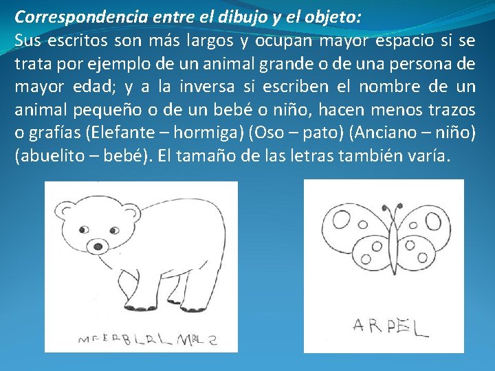 Correspondencia entre el dibujo y el objeto: Sus escritos son más largos y ocupan