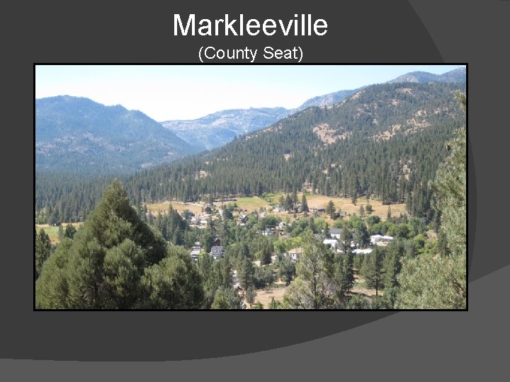 Markleeville (County Seat) 
