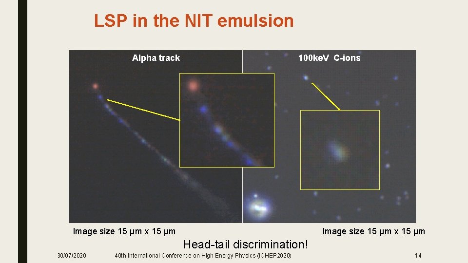 LSP in the NIT emulsion Alpha track 100 ke. V C-ions Image size 15