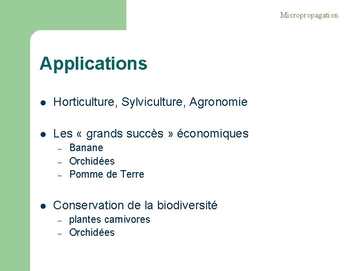 Micropropagation Applications l Horticulture, Sylviculture, Agronomie l Les « grands succès » économiques –