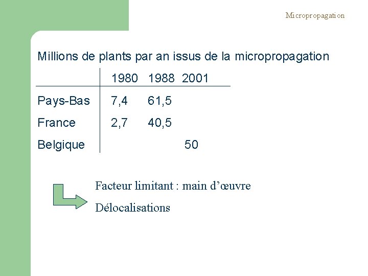 Micropropagation Millions de plants par an issus de la micropropagation 1980 1988 2001 Pays-Bas