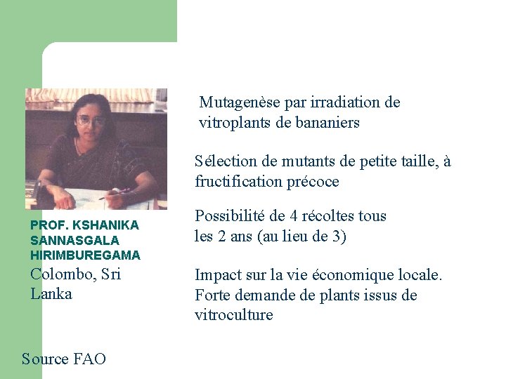 Mutagenèse par irradiation de vitroplants de bananiers Sélection de mutants de petite taille, à