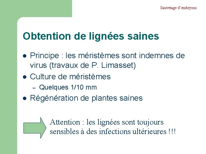 Sauvetage d’embryons Obtention de lignées saines l l Principe : les méristèmes sont indemnes