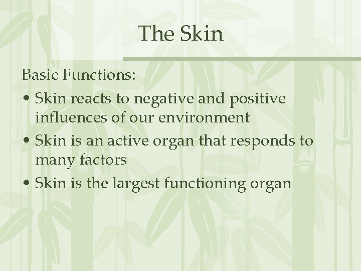 The Skin Basic Functions: • Skin reacts to negative and positive influences of our